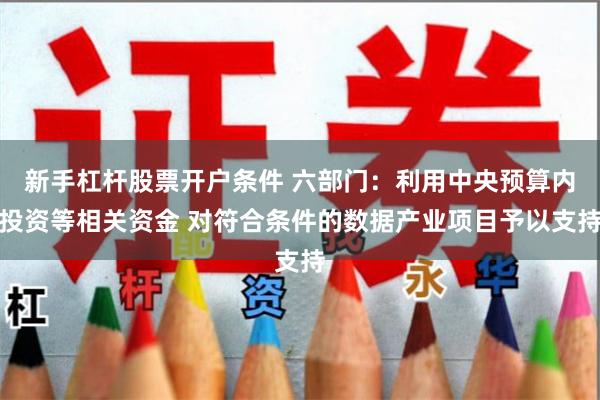 新手杠杆股票开户条件 六部门：利用中央预算内投资等相关资金 